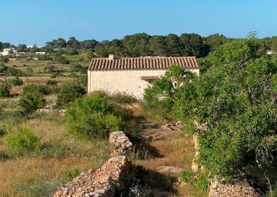 FINCA CAN FERRERA...
