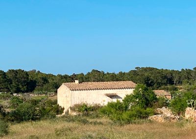 FINCA CAN FERRERA...