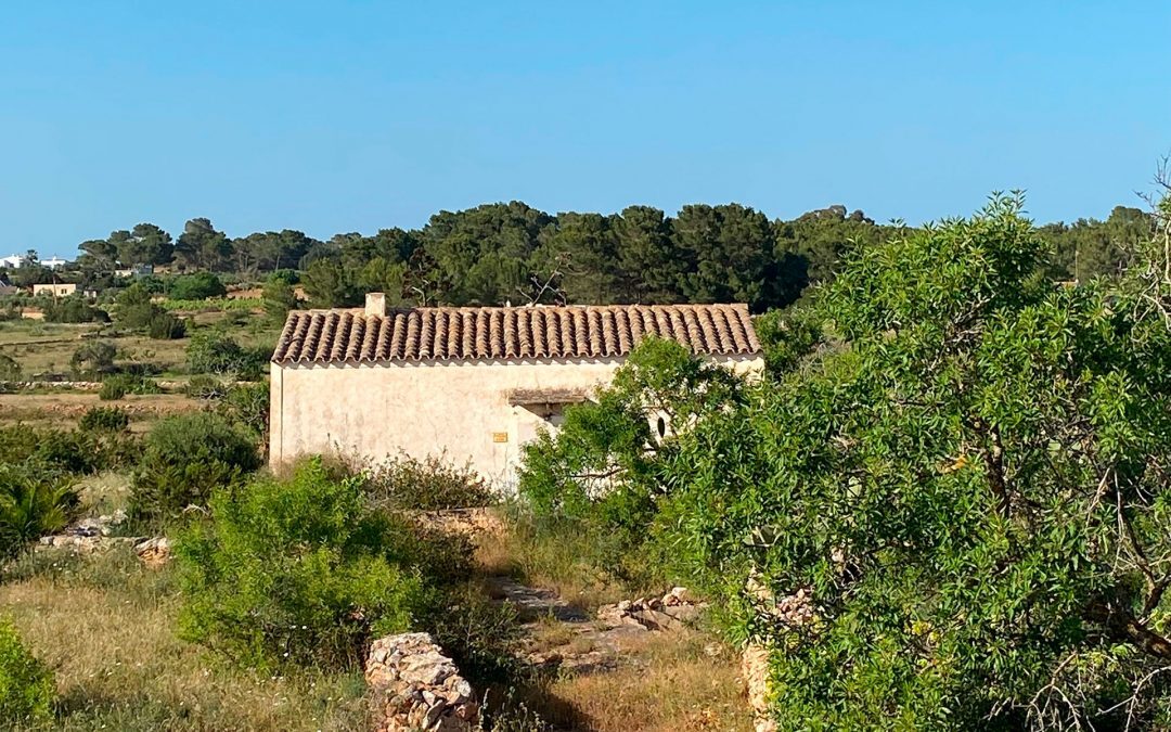 FINCA CAN FERRERA...