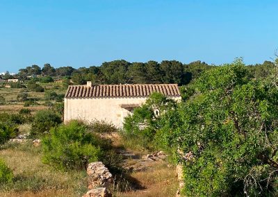 FINCA CAN FERRERA...