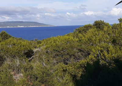 Formentera Living...
