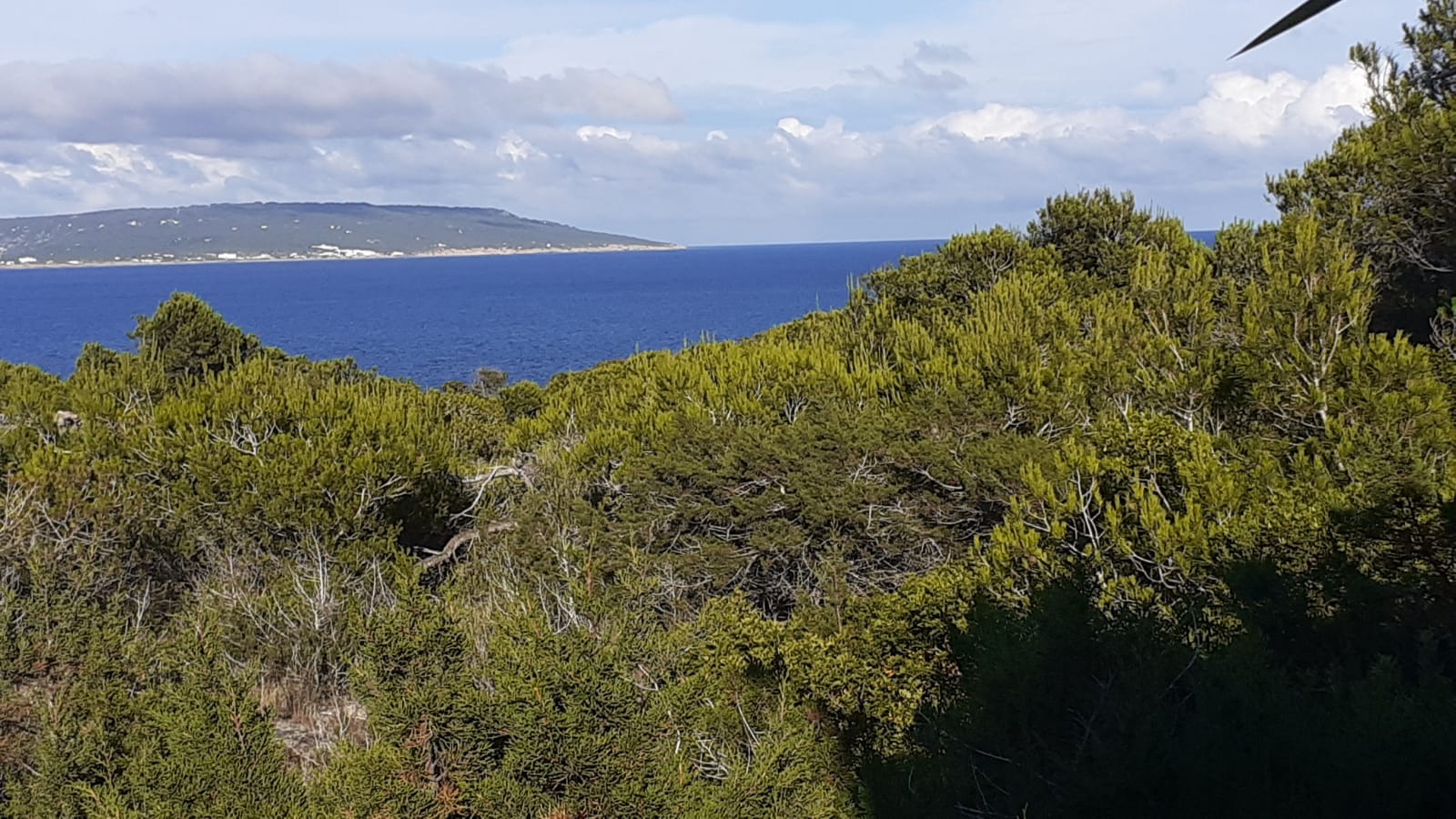 Formentera Vista Mar